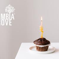 Cambia Grove's 5 Year Anniversary