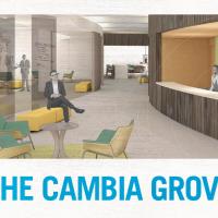 Cambia Grove imagery